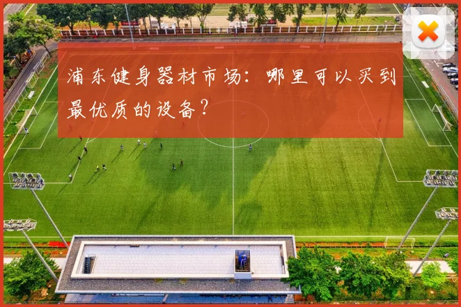 浦东健身器材市场：哪里可以买到最优质的设备？