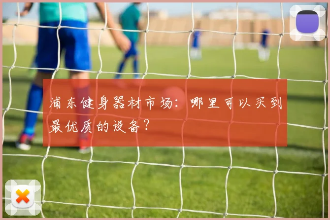 浦东健身器材市场:哪里可以买到最优质的设备?