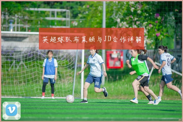 英超球队布莱顿与JD合作详解