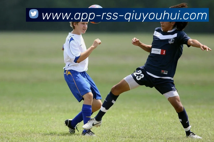 球友会app平台生态图